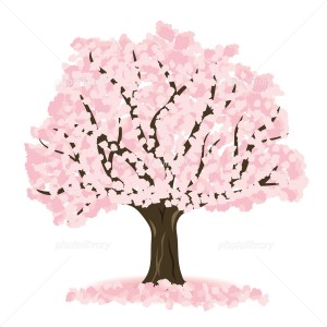 桜ｲﾒｰｼﾞ