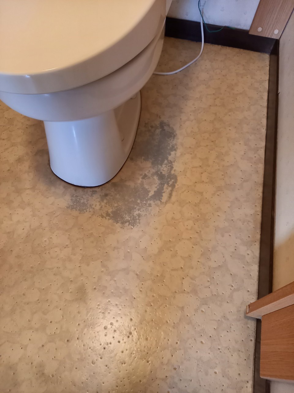 相模原市にて トイレの床やり替え工事 株式会社シンケイ